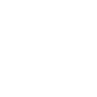 Wheel Options